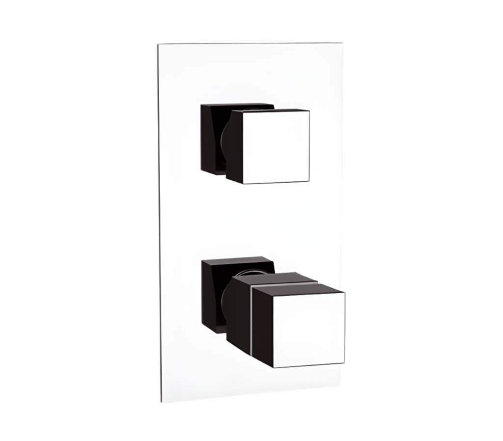 Смеситель термостатический для душа Remer Q-Elegance QT94