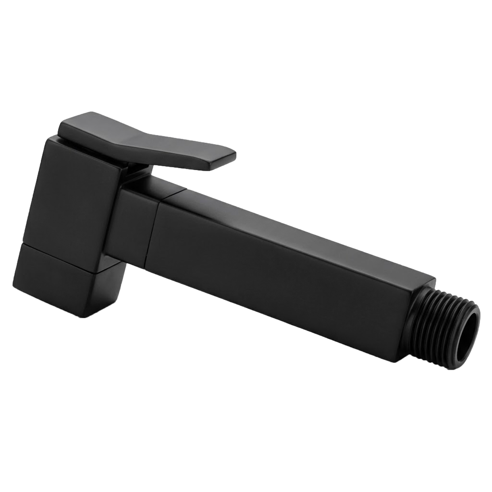 Гидроёршик Remer RB120NO, черный матовый