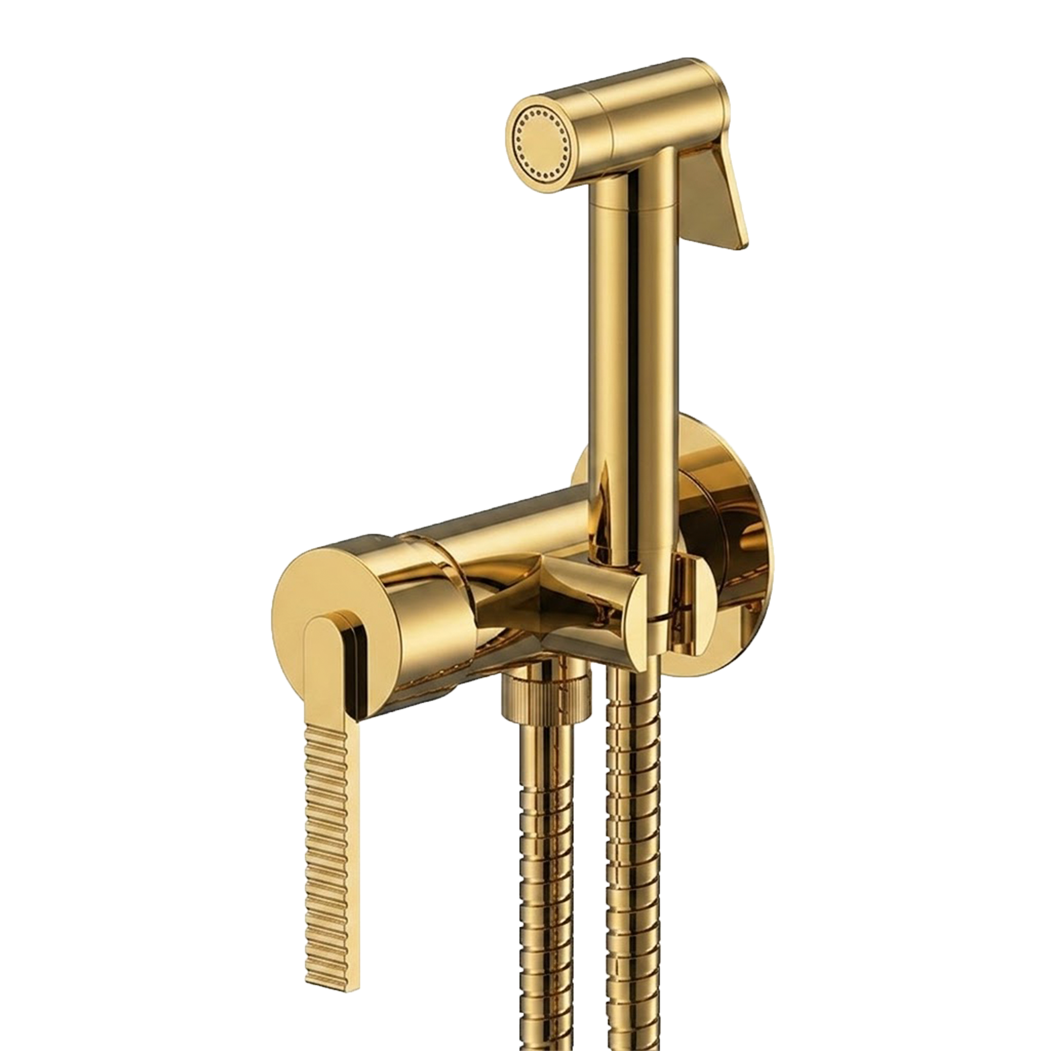 Гигиенический душ со смесителем Daniel Regency RN6457DCWBGP, золото глянцевое PVD
