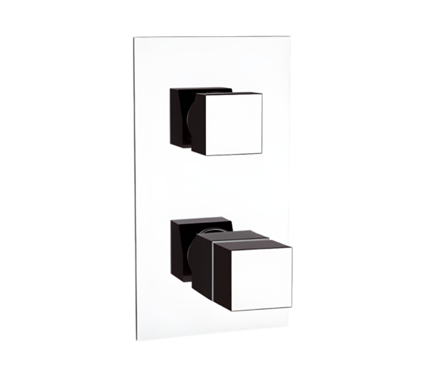 Смеситель термостатический для душа Remer Q-Elegance QT94