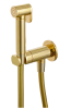 Гигиенический душ со смесителем Remer X Style N64WDO, золото глянцевое