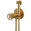 Гигиенический душ со смесителем Remer Chrono CH65WBG, золото брашированное
