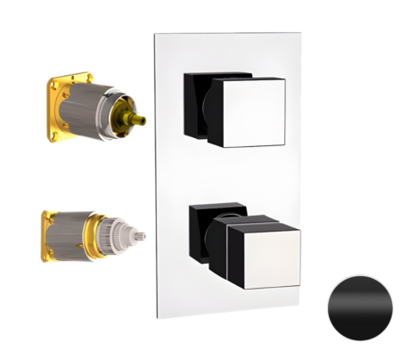 Смеситель термостатический для душа Remer Q-Elegance QT93KBNO, черный матовый