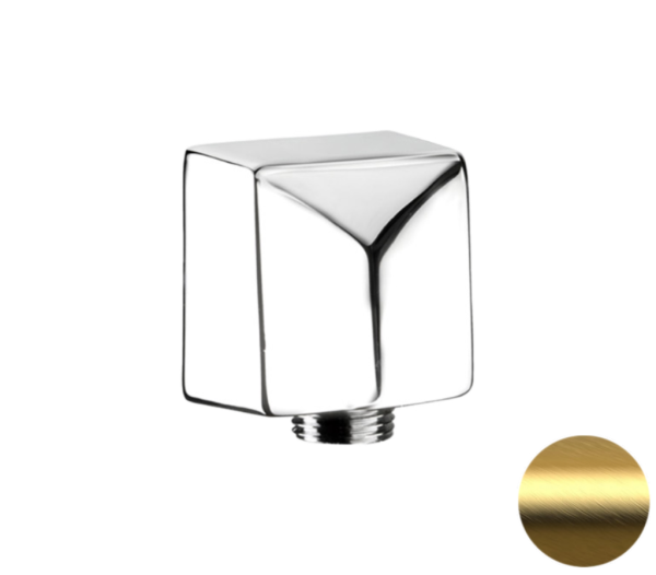 Шланговое подключение для душа Remer 309SBG, золото брашированное