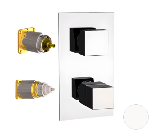 Смеситель термостатический для душа Remer Q-Elegance QT93KBBO, белый матовый