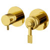 Смеситель для душа Remer Atelier AL93ZPWBDO, золото глянцевое