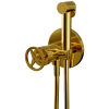 Гигиенический душ со смесителем Remer Chrono CH65WDO, золото глянцевое
