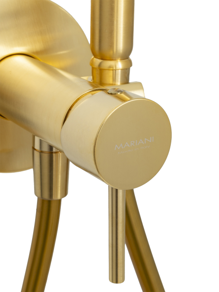 Гигиенический душ со смесителем Mariani Next B22185NXW, золото брашированное