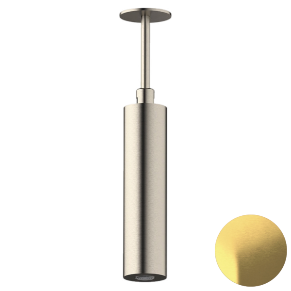 Верхний душ потолочный Daniel Steel SS2A578PELCM20, латунь брашированная PVD