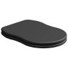 Крышка с сиденьем для подвесного унитаза с микролифтом GSG Ceramic Design Time TICOPRCCCR003, черный матовый