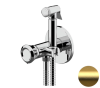 Гигиенический душ со смесителем Remer Element ET65BG, золото брашированное