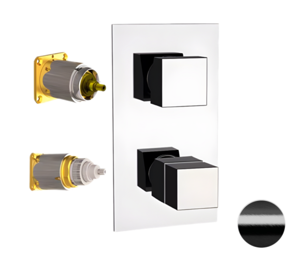 Смеситель термостатический для душа Remer Q-Elegance QT93KBCFP, черный брашированный хром