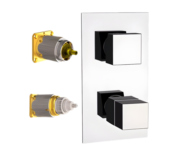 Смеситель термостатический для душа Remer Q-Elegance QT92KB