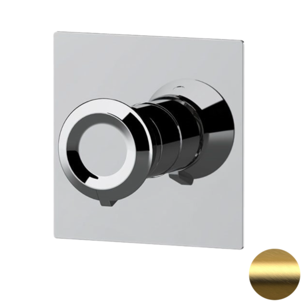 Смеситель для душа Remer Element ET30QBG, золото брашированное